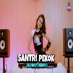 Download Lagu mp3 Dj Imut - Dj Santri Pekok Viral