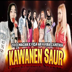 Download Lagu mp3 Trio Macan X Fida AP X Fira Cantika - Kawanen Saur