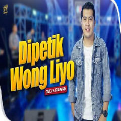 Download Lagu Delva Irawan Dipetik Wong Liyo Feat Om Sera.mp3