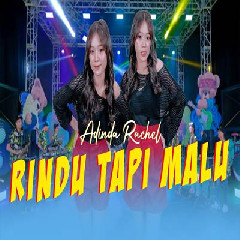 Download Lagu Adinda Rachel - Rindu Tapi Malu.mp3