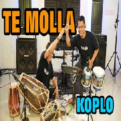 Download Lagu mp3 Beny Serizawa - Te Molla (Koplo Version)