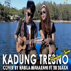 Download Lagu mp3 Nabila Maharani - Kadung Tresno Ft. Tri Suaka (Cover)
