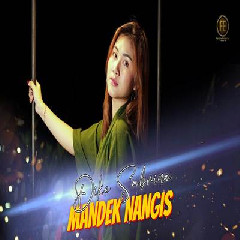 Download Lagu Dike Sabrina Mandek Nangis.mp3