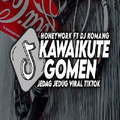 Download Lagu Dj Komang Dj Kawaikute Gomen Jedag Jedug Viral Tiktok Terbaru 2022.mp3