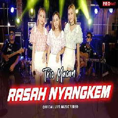Download Lagu Trio Macan Rasah Nyangkem.mp3