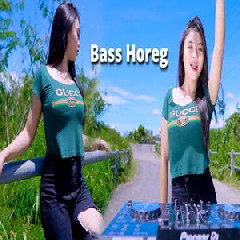 Download Lagu Dj Reva Dj Zoom Paling Di Cari Buat Cek Sound Bass Horeg.mp3