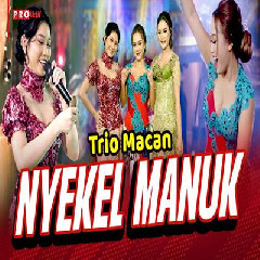 Download Lagu mp3 Trio Macan - Nyekel Manuk
